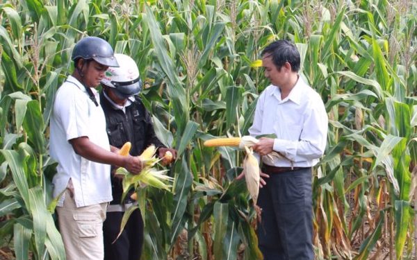 Đổi mới ngành nông nghiệp – Phát huy lợi thế các sản phẩm chủ lực