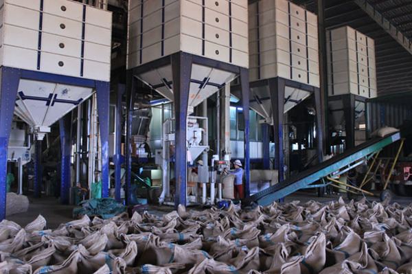 Tạo điều kiện tối đa cho DN làm thủ tục xuất - nhập khẩu tại Đắk Lắk